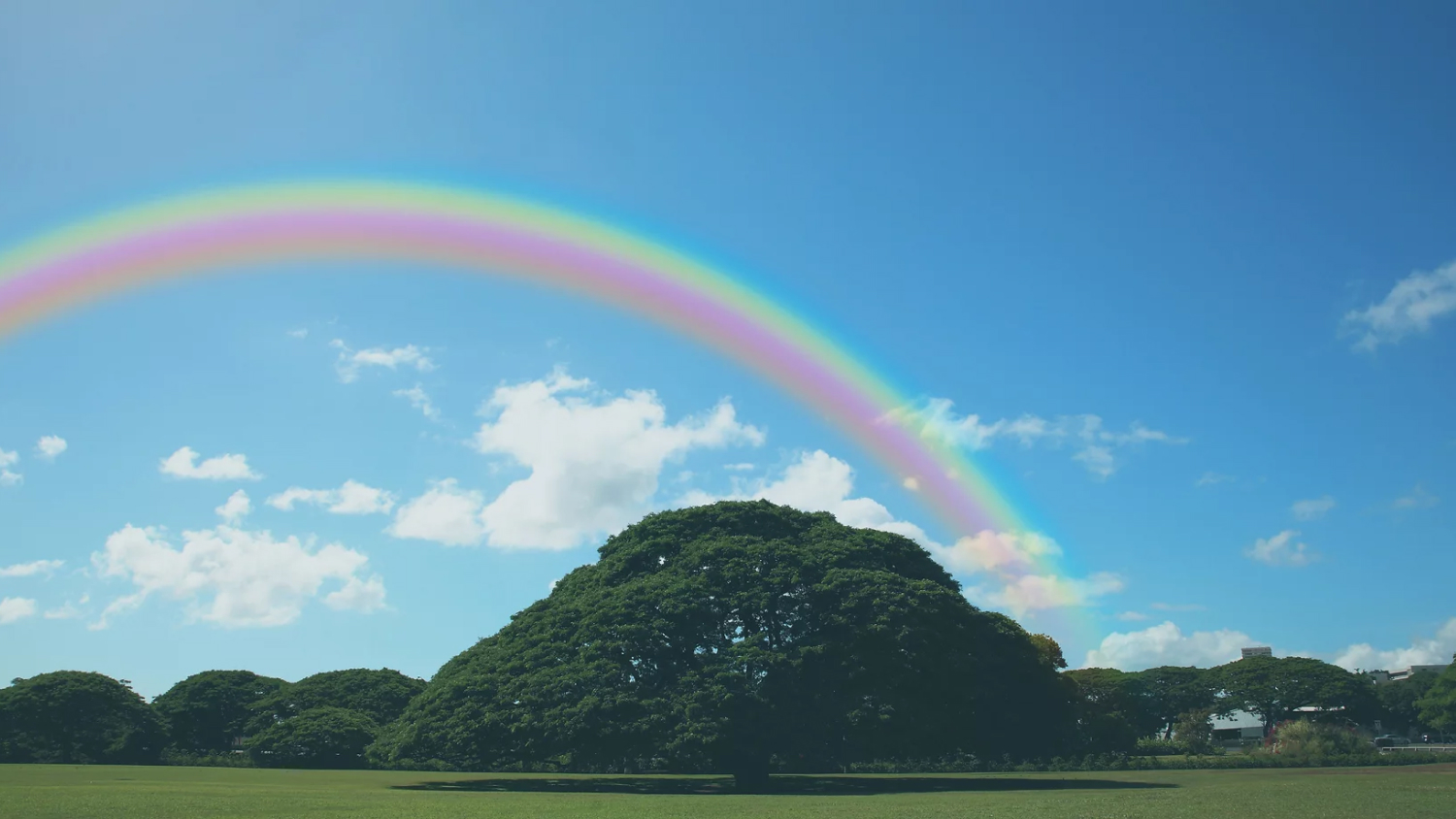 社会福祉法人 明の守福祉会